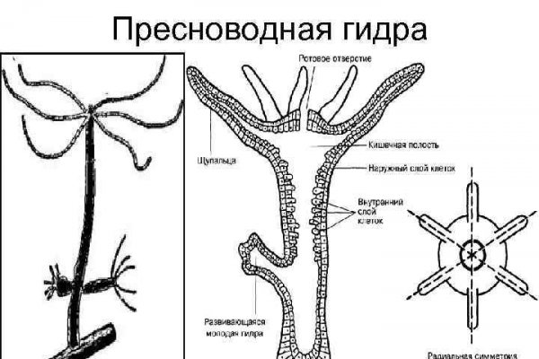 Зайти на кракен тор